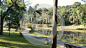 Walking paths by the artificial lake in the Botanical Garden of Sao Paulo. photo