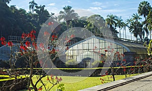 The botanical garden of Sao Paulo - Greenhouse Estufas do jardim botÃ¢nico de SÃ£o Paulo