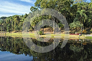 The botanical garden of Sao Paulo - Jardim botÃÂ¢nico de SÃÂ£o Paulo photo