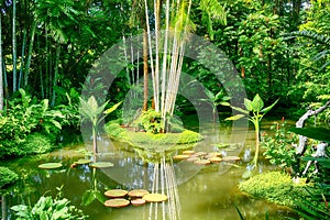 Botanical garden, Singapore