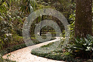 Botanical garden swirly path way