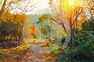 Botanical Garden in Tbilisi