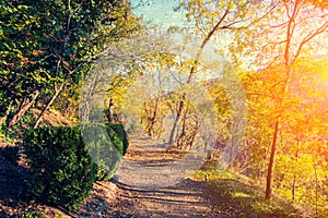 Botanical garden in Tbilisi city at sunset