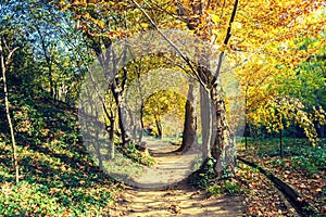 Botanical garden in Tbilisi, Georgia