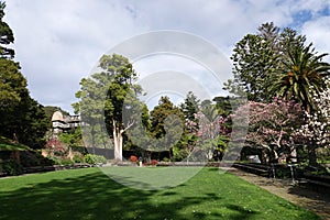 Botanical Garden and treehouse of Wellington, New Zealand
