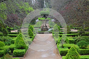 Botánico jardín de universidad de en. jardín él era en 18siglo a pertenece a sobre el la mayoría 