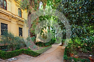 Botanical Garden of the University of Granada (Jardin Botanico) - Granada, Andalusia, Spain photo