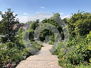 Botanical Garden of the University of Zurich or Botanischer Garten der Universitaet Zuerich