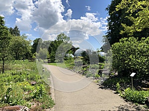 Botanical Garden of the University of Zurich or Botanischer Garten der Universitaet Zuerich