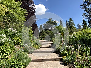 Botanical Garden of the University of Zurich or Botanischer Garten der Universitaet Zuerich