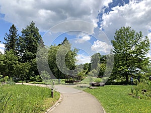 Botanical Garden of the University of Zurich or Botanischer Garten der Universitaet Zuerich