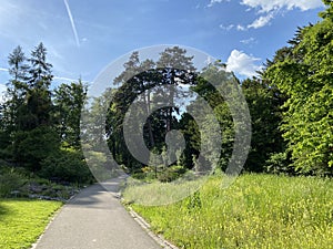 The Botanical Garden of the University of Zurich or Botanischer Garten der UniversitÃÂ¤t ZÃÂ¼rich Botanischer Garten der Universitat photo