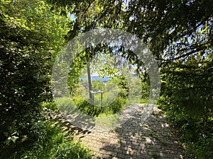 The Botanical Garden of the University of Zurich or Botanischer Garten der UniversitÃÂ¤t ZÃÂ¼rich Botanischer Garten der Universitat photo