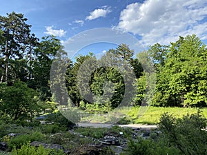 The Botanical Garden of the University of Zurich or Botanischer Garten der UniversitÃÂ¤t ZÃÂ¼rich Botanischer Garten der Universitat photo