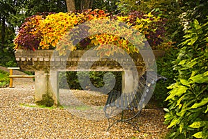 The Botanical Garden of Villa Carlotta in Tremezzo Lake Como, Italy