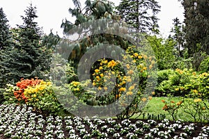 Botanical garden of Villa Taranto, Lombardy, Italy