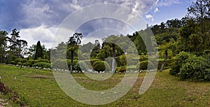 Botanical Garden - Vumba, Zimbabwe