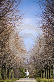 Botanical Garden Walk