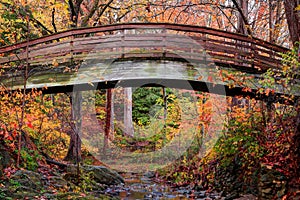 Botanical Gardens Arched Bridge Asheville During Fall photo