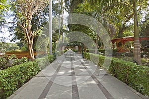 Botanical gardens at Aswan in Egypt