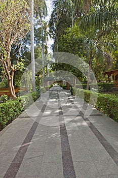 Botanical gardens at Aswan in Egypt