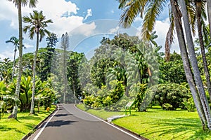 Botanical gardens Bogor, West Java, Indonesia