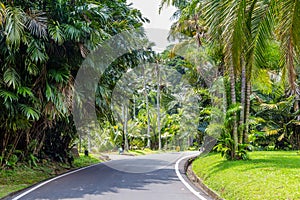 Botanical gardens Bogor, West Java, Indonesia