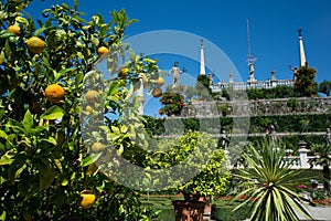 Botanical gardens, Borromeo palace, Isola bella, lake Lago Maggiore, Italy