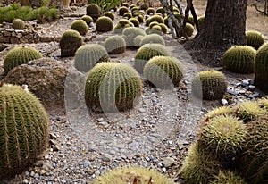 Botanical gardens in Cadereyta de Montes, Mexico.