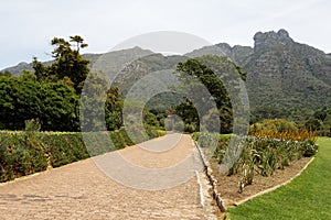 Botanical Gardens Cape Town