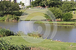 Botanical Gardens Curitiba Brazil