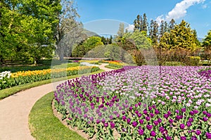 Botanical Gardens of Villa Taranto with colorful tulips in bloom, Pallanza, Italy.