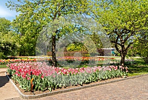 Botanical Gardens of Villa Taranto with colorful tulips in bloom, Pallanza,Italy.