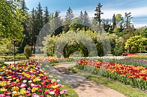 Botanical Gardens of Villa Taranto with colorful tulips in bloom, Pallanza,Italy.