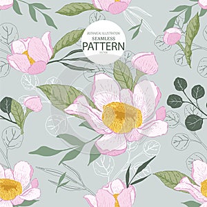 gustavia flower illlustration seamless pattern02