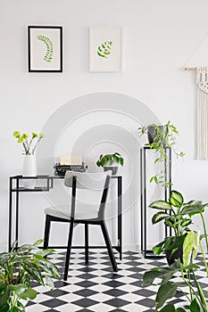 Botanical home office interior with a desk, chair and graphics on the wall. Real photo