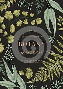 Botanical illustration with leaves. photo