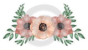 Botanical illustration, Pink Anemones and Leaves, Stickers, Digital sketch, Raster illustration isolated on white