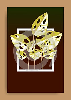 Monstera botanical illustration vector design poster and wallpaper