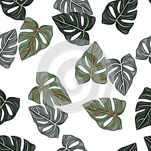 Botanical leaf wallpaper. Tropical pattern, palm leaves floral background. Abstract exotic plant seamless pattern