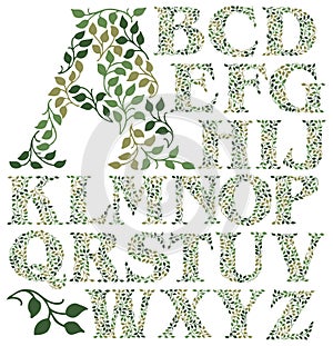 Botanical Leaves Alphabet/eps