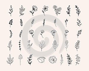Botanical line art clipart, hand drawn herbs, flowers, leaves and branches