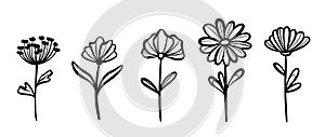 Botanical linear flower set abstract creative floral collection minimalist vector illustration