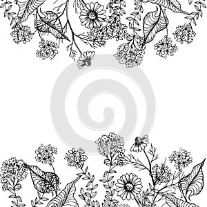 Botanical monochrom frame with wild flowers. photo