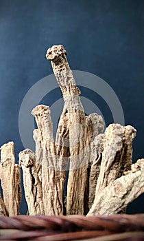 Codonopsis Roots in basket with black background.