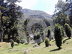 Botanical park in Sri Lanka