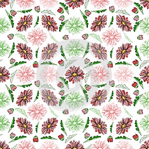 Botanical pattern with gerbera vector illustration