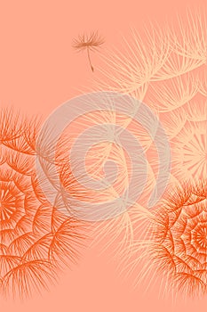 Botanical pattern peach fuzz color, dandelions and flying seed, vector.