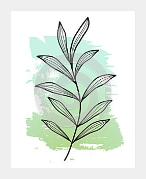 Botanical  print on abstract background