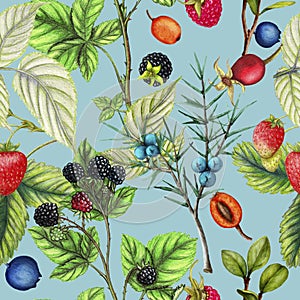 Botanical repeat pattern of hand drawn berries